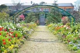 日本高知闺蜜旅行推荐：美肌温泉超舒服、日版莫内花园绝美花景图片