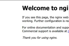 利用Docker从零搭建Typecho博客并启用TLS（一）图片