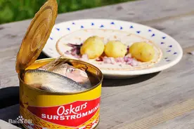 “生化武器”鲱鱼罐头是怎么成为荷兰崛起的关键呢？图片