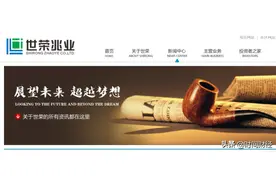 珠海最大“地主”陨落？世荣兆业原董事长被指涉黑 其父曾为珠海首富图片