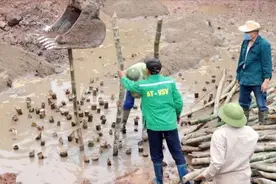 看看越南农村盖房，打地基用竹子，真是见所未见图片