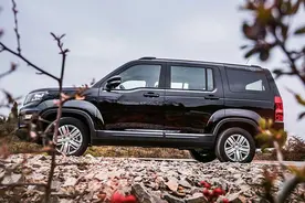 返乡过年什么车最实用！这2款空间大、动力足，6万不到值不值？图片