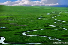 「锡林浩特站」昔日恩人误入传销骗局，将养老金都赔进去......图片