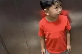 萌娃乘电梯遇美女牵狗，俩人的对话引起全网议论，网友：笑的不行图片