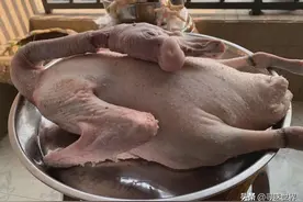 如何选最好吃的鹅？教你简单几招避免踩坑，鹅肉肥美又没细毛图片