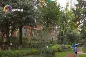 感受住宅小区里的生物多样之美图片