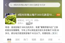 揭秘“阳光玫瑰葡萄”价格真相：市场零售价10～40元/斤不等，经济效益是其他品种的5倍图片