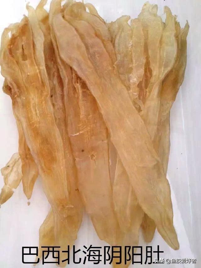 鱼胶贵还是燕窝贵 鱼胶贵还是燕窝贵一点