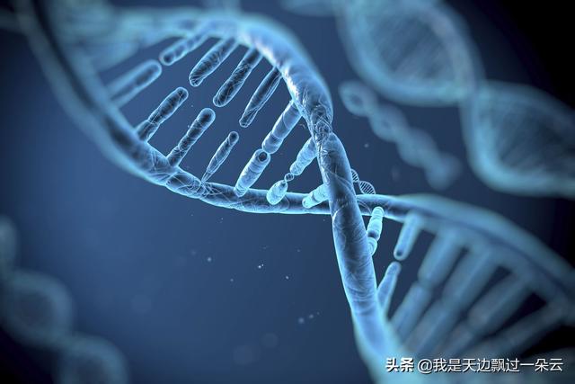 可计算的生物学之生物数据种类简述