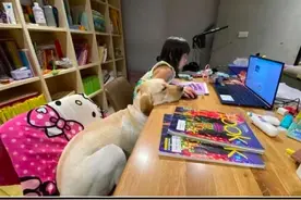 狗陪着女儿在上网课，太无聊竟睡着了，被老师点名后吓得立马醒了图片