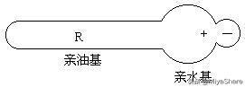 氨基酸洁面最温和？这类洁面才是首选：洗得干净不残留适合大多数