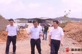 县长覃仕平到企业调研图片