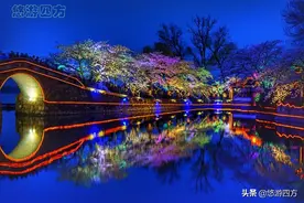 一年只有7天可以看到！如梦似幻的无锡鼋头渚夜樱，错过等一年！图片