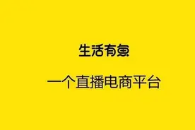 生活有鱼，究竟是什么？怎么赚钱？图片