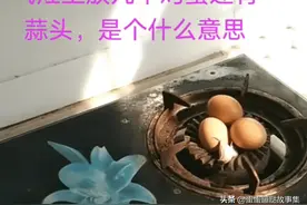 租我房子的人走了，煤气灶上放鸡蛋还有蒜头，是想暗示我什么？图片