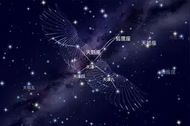 天鹅座神秘信号，外星文明可能就藏在1400光年外？图片
