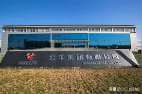 公牛集团–转换器行业王者图片