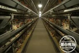 “你们的东西有毒！”女子收到武汉发货的鸡蛋，怒斥客服拒收包裹图片