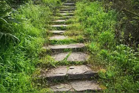《路》图\文 南郢子图片