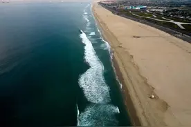 加州海岸大规模漏油事件，大批海豚丧生，美国又一起生态灾难图片