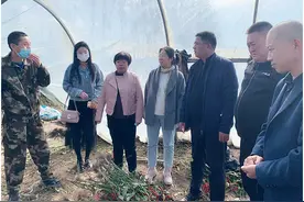 爱吃辣的有福了！黑龙江新品种辣椒“龙焰1号”成功种植图片