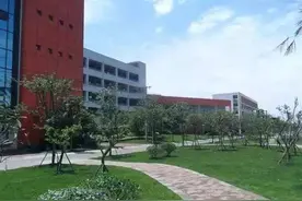 公办小学初中全面开花，龙泉的高中整体实力到底如何？图片