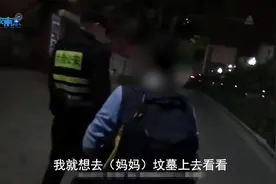 男孩深夜离家去坟地看妈妈：“我想去妈妈坟上看看”，民警听后哽咽安慰图片