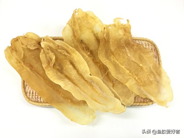 鱼胶的价钱 2026年鱼胶多少钱