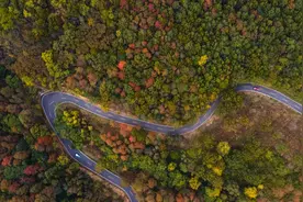 南京小众秘境，绝美！图片