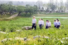 蔡奇调研北京城市最大“绿肺”，要求示范区9月1日如期开园图片