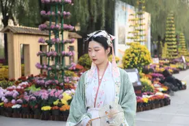 穿汉服、化菊花妆，护士小姐姐打卡江滩菊展图片