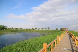 芦苇轻摇，碧波荡漾，酒泉肃州六分湿地邀你入画图片