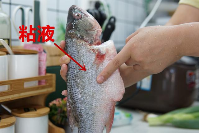 给鱼去腥，抽“鱼腥线”是不对的，记住处理4个真正腥味大的地方