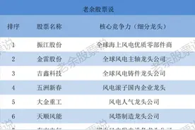 风电行业进入抢装期，盘点十大高成长的风电潜力龙头（附名单）图片