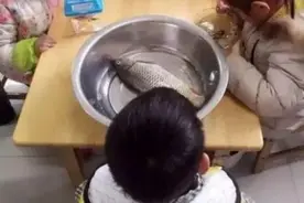 幼儿园要求带小动物，孩子把家里的“菜”带上了，网友：没毛病呀图片
