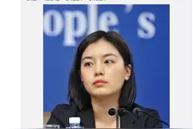 最美翻译官走红的背后竟还藏着这些事……图片