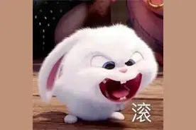 “兔子不吃窝边草”，有谁能对下一句？图片