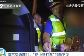 南京交通部门：谨慎使用“花小猪打车”图片