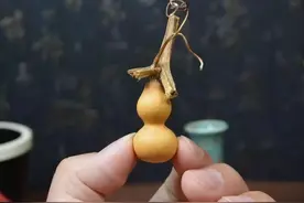 不是所有文玩葫芦，都叫“草里金”图片