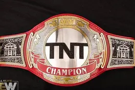 TNT冠军头衔成品图现身，网友：它还真不丑图片