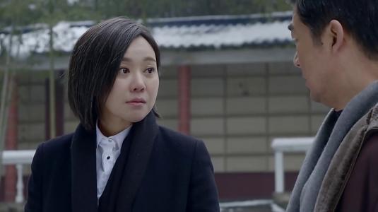 闫妮十三部经典电视剧 闫妮主演的电视剧哪部好看？