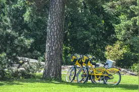 北欧旅行必须体验的玩法，海上游轮连通两国图片