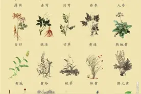 很多人都误解了中药的作用，看看你理解的中药作用对不对？图片