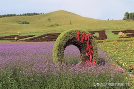 呼伦贝尔草原之阿尔山森林公园，一处天然的氧吧，来个清肺之旅吧图片