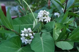 对不起呀，我向您道歉了图片