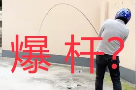 垂钓节目疯狂推荐的双宝鲫鱼竿是否暗藏猫腻？视频封面