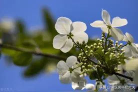 为什么说伤精越深，戒色越难？图片