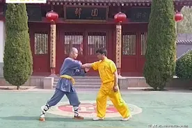 动画+图文 少林擒拿精粹：拍胸拧肘、梅花绞手 挫敌关节而巨痛图片