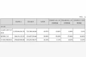 蓝焰控股应收高企八成以上为控股方 变相资金占用？图片