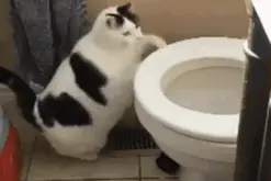 厕所，职场最有“人味”的地方图片